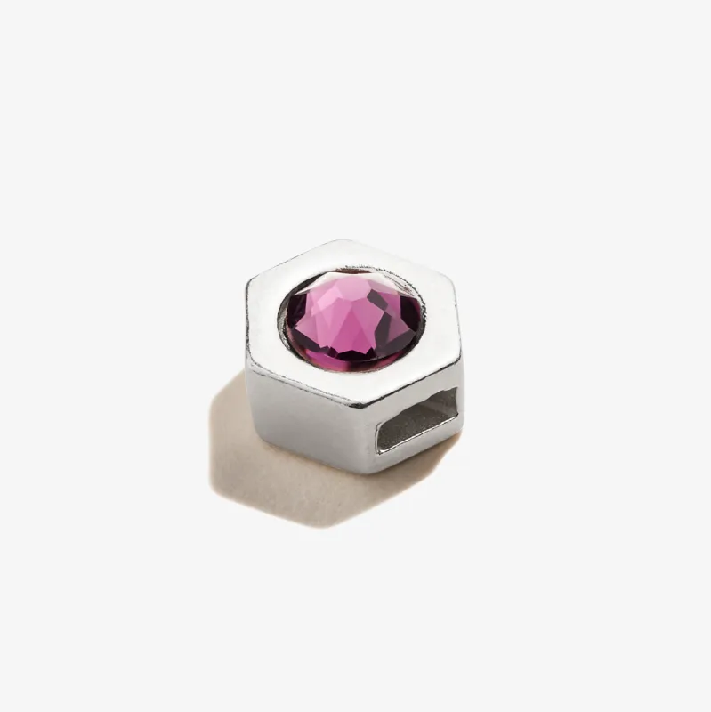 Amethyst Birthstone Slider Charm, February sold by Alex and Ani