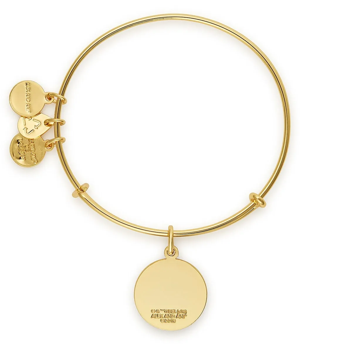 Harry Potter™ 'The Wand Chooses the Wizard' Charm Bangle sold by Alex and Ani product image thumbnail 2