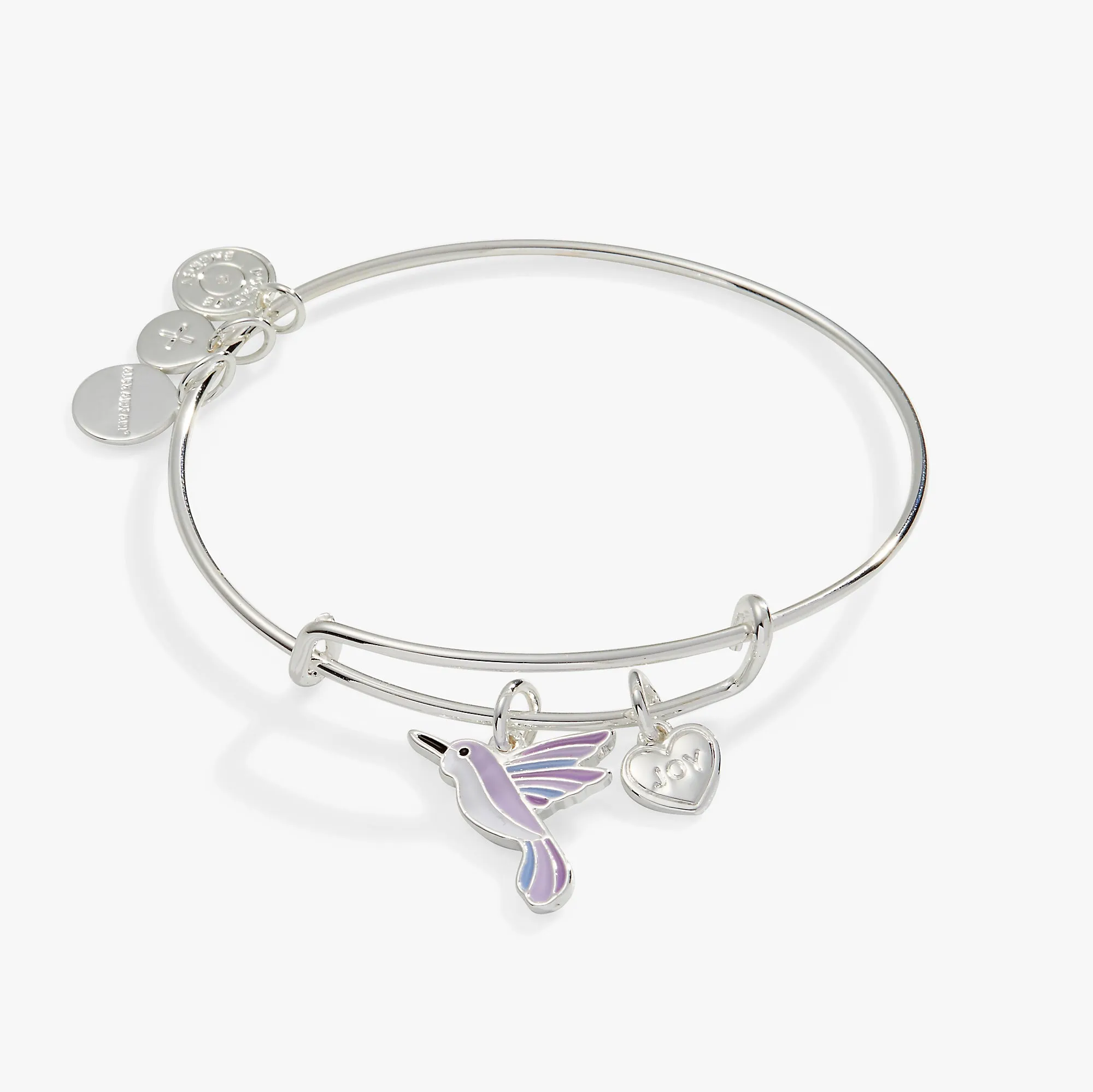 'Joy' Hummingbird Duo Charm Bangle Bracelet sold by Alex and Ani