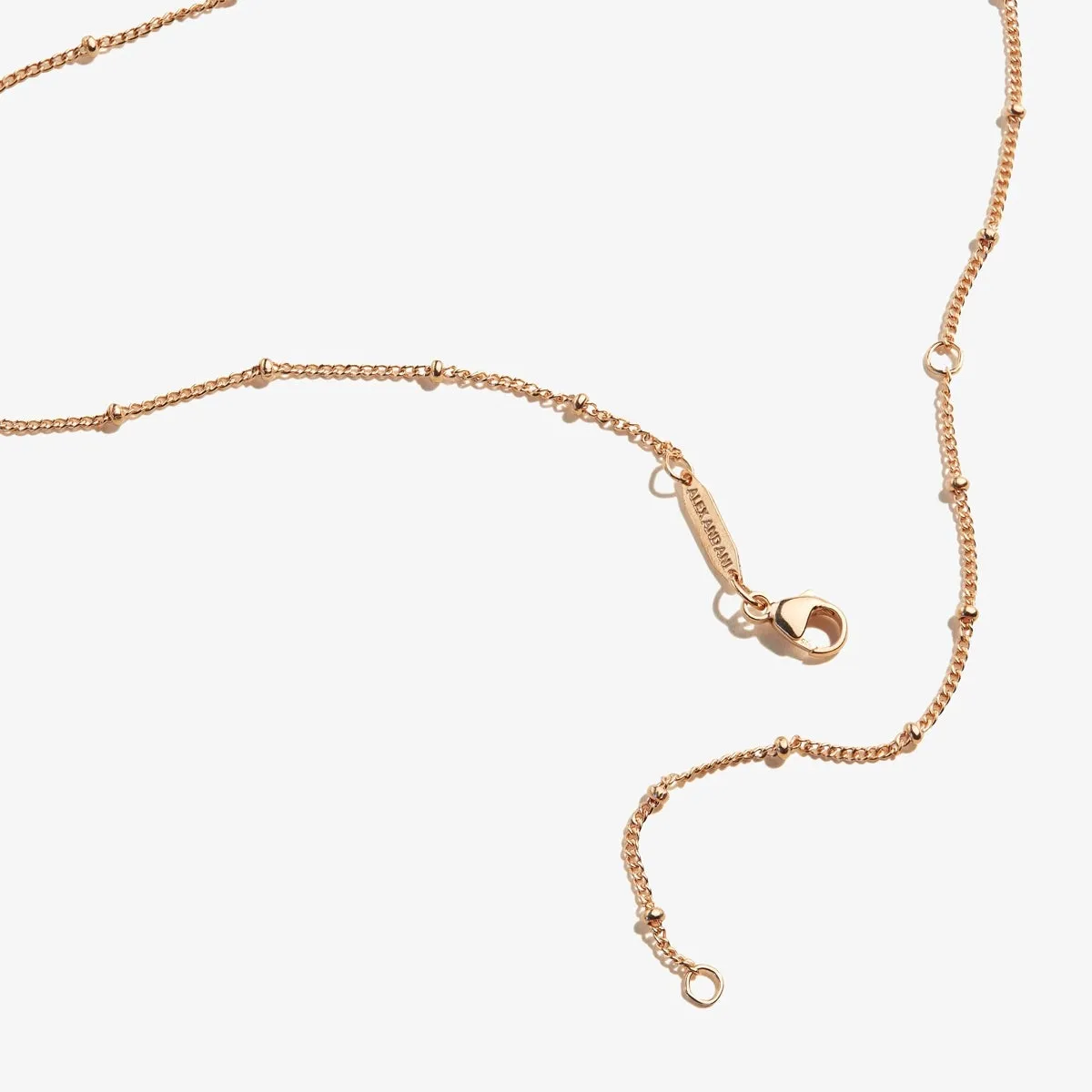 Path of Life® Lariat Necklace sold by Alex and Ani product image thumbnail 2