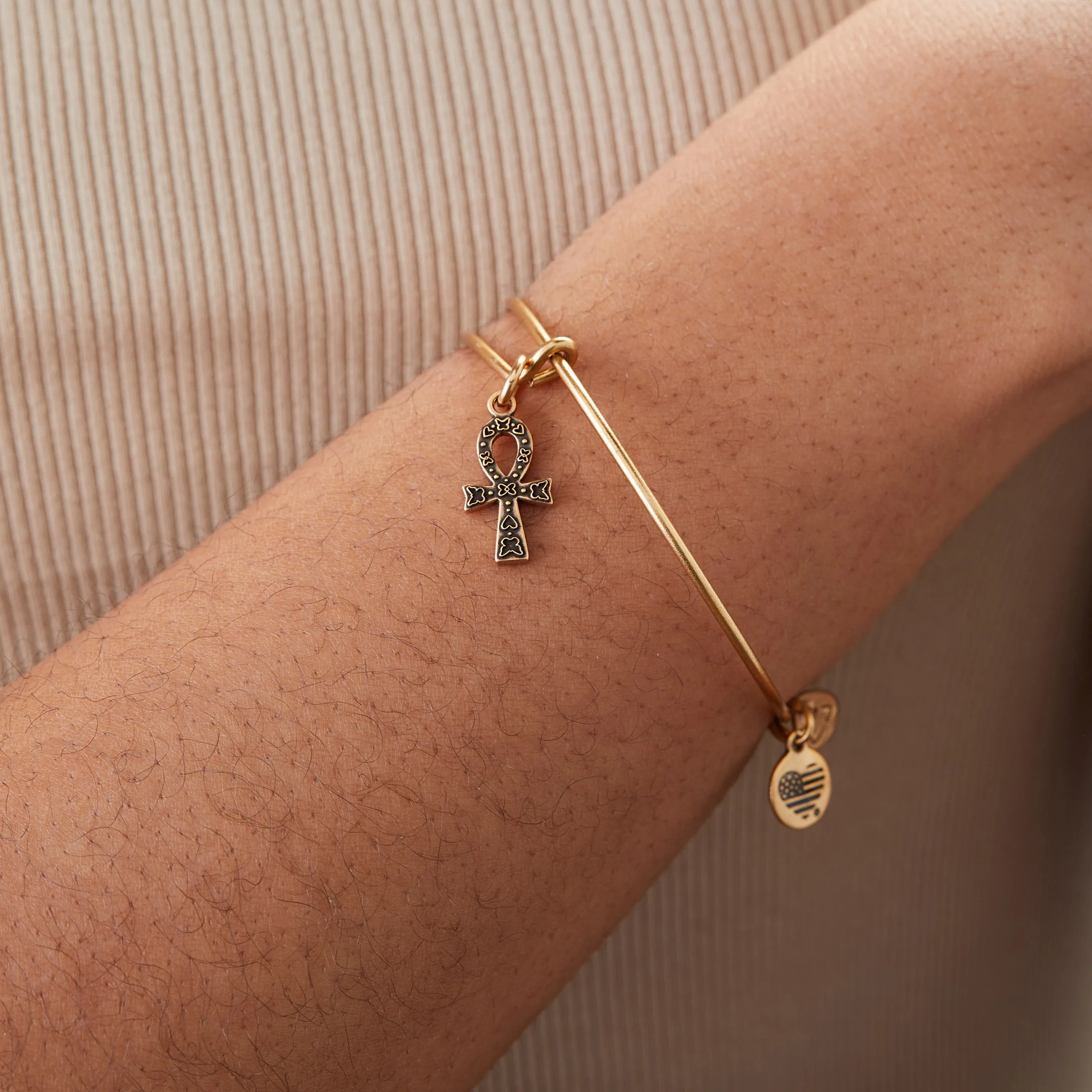 Ankh Charm Bangle Bracelet sold by Alex and Ani product image thumbnail 4