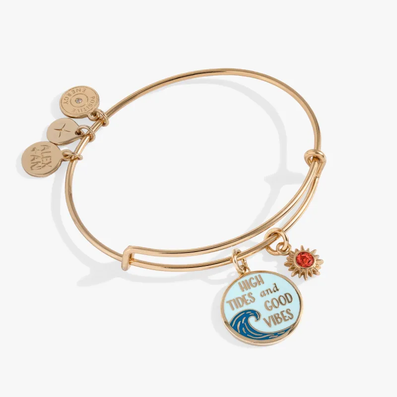 High Tides Good Vibes Charm Bangle sold by Alex and Ani
