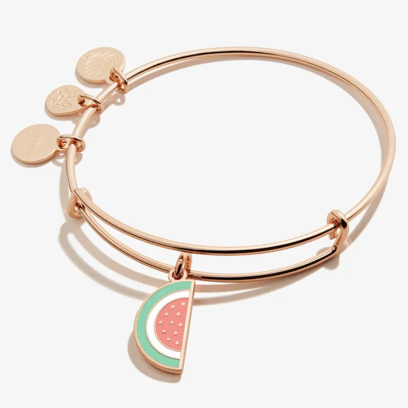 Watermelon Charm Bangle sold by Alex and Ani