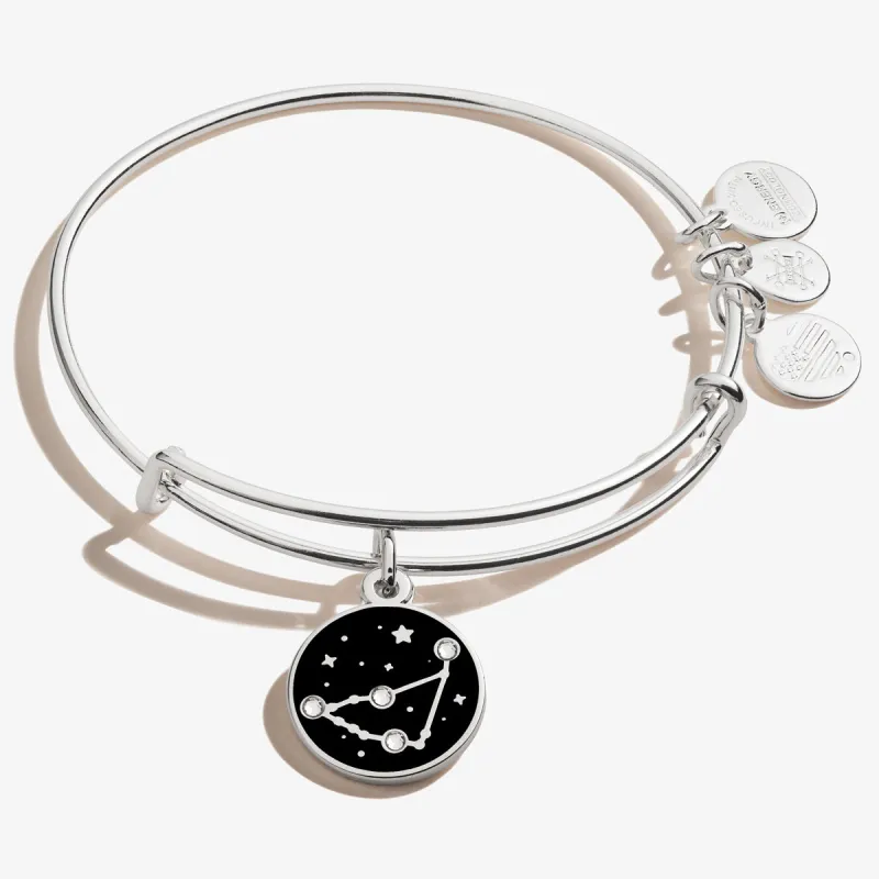 Capricorn Zodiac Charm Bangle sold by Alex and Ani