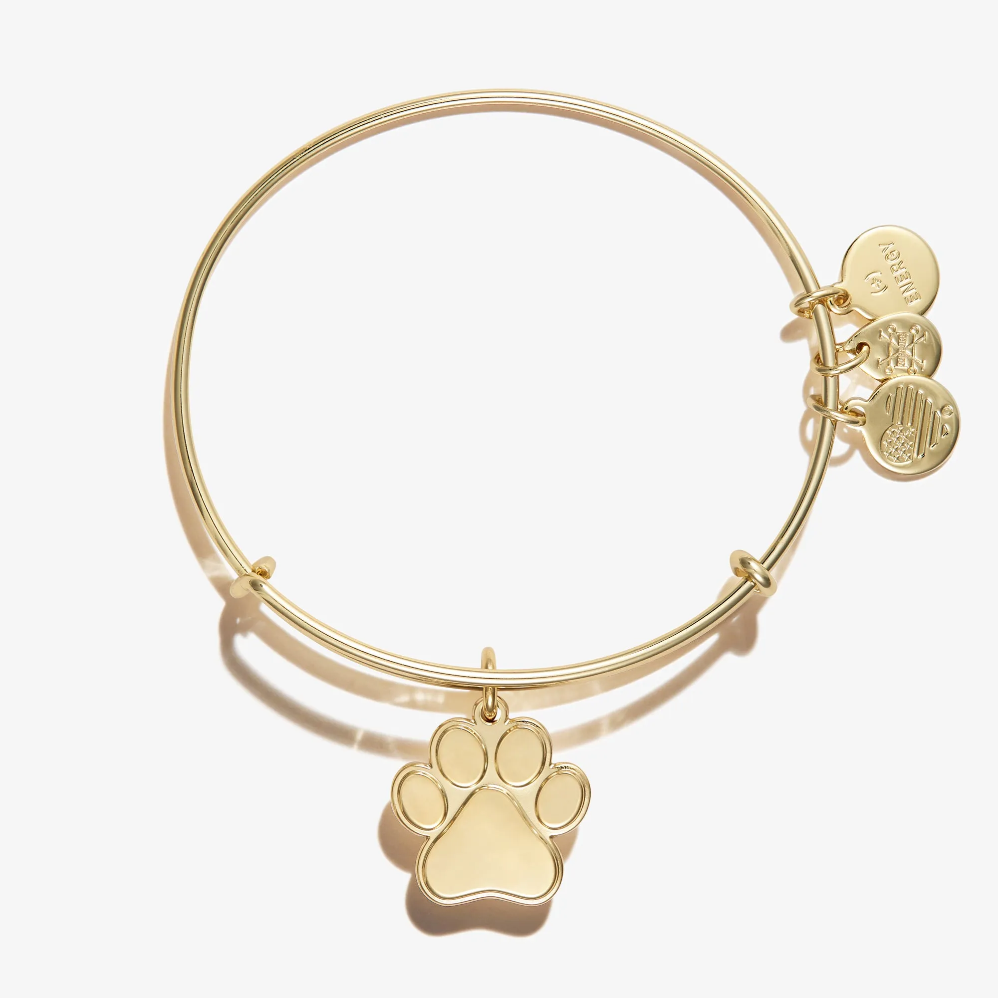 Paw Print Charm Bangle sold by Alex and Ani product image thumbnail 3
