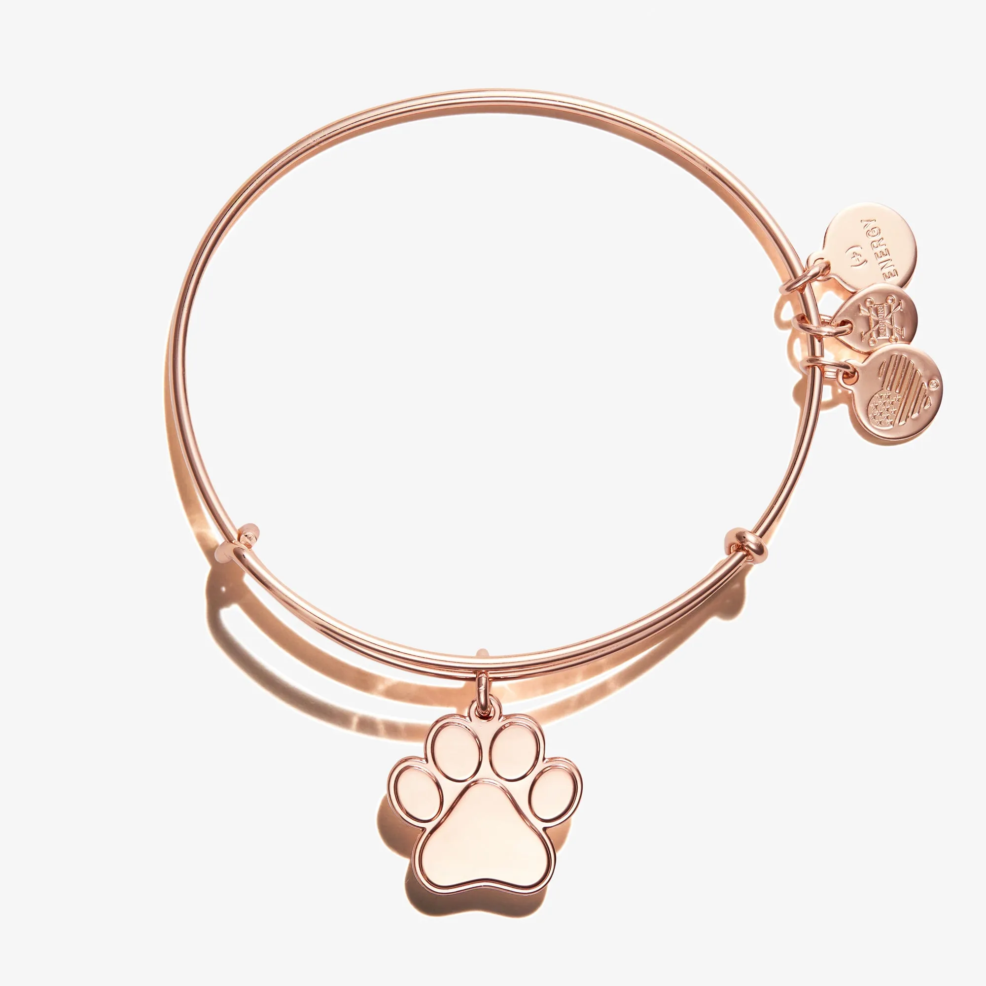 Paw Print Charm Bangle sold by Alex and Ani product image thumbnail 5