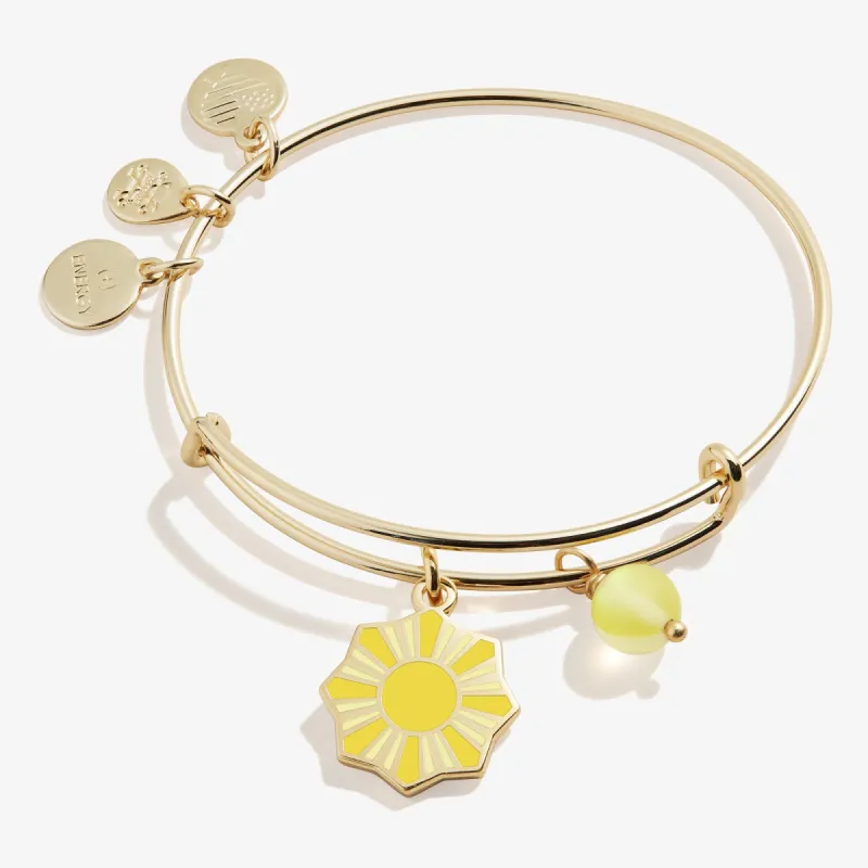 Sun Duo Charm Bangle Bracelet sold by Alex and Ani