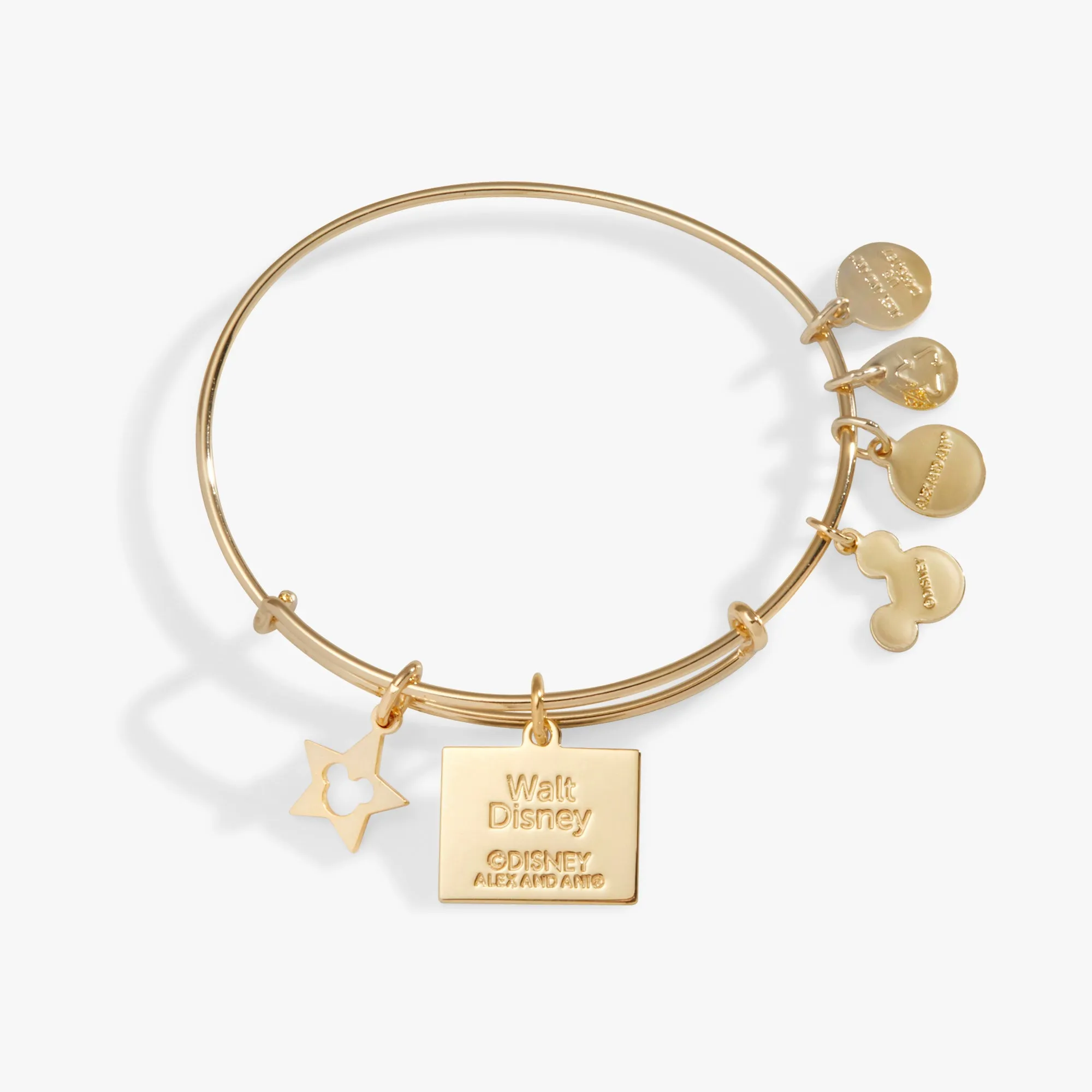 Disney® Impossible Charm Bangle sold by Alex and Ani product image thumbnail 3