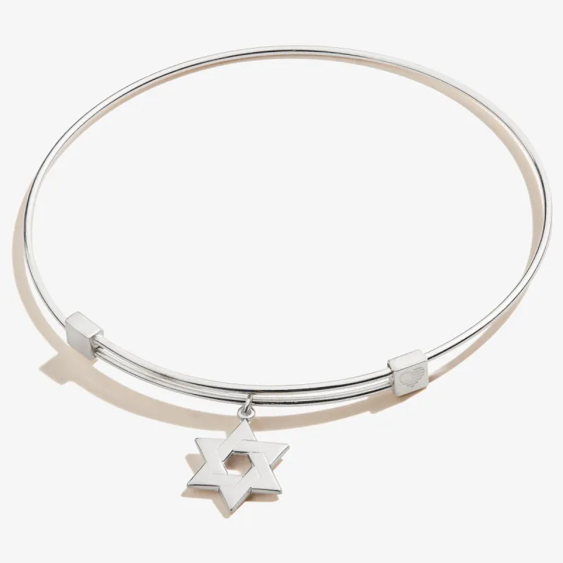 Star of David Charm Bangle sold by Alex and Ani