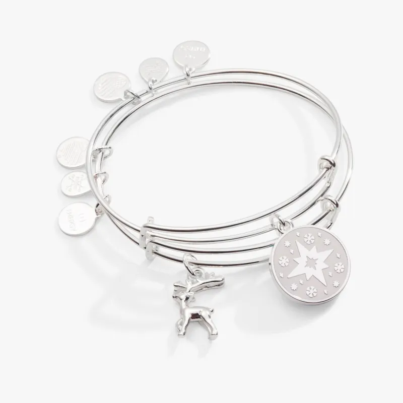 North Star + Reindeer Charm Bangle, Set of 2 sold by Alex and Ani