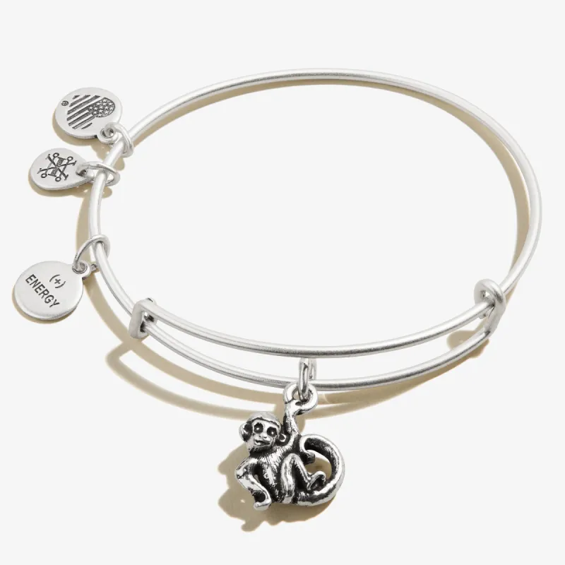 Monkey Charm Bangle sold by Alex and Ani