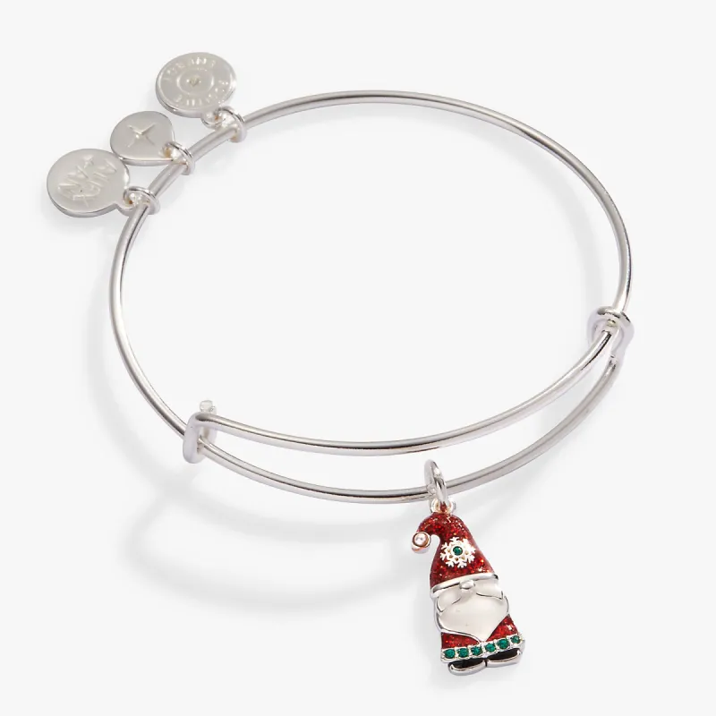 'Gnome for Christmas' Charm Bangle sold by Alex and Ani