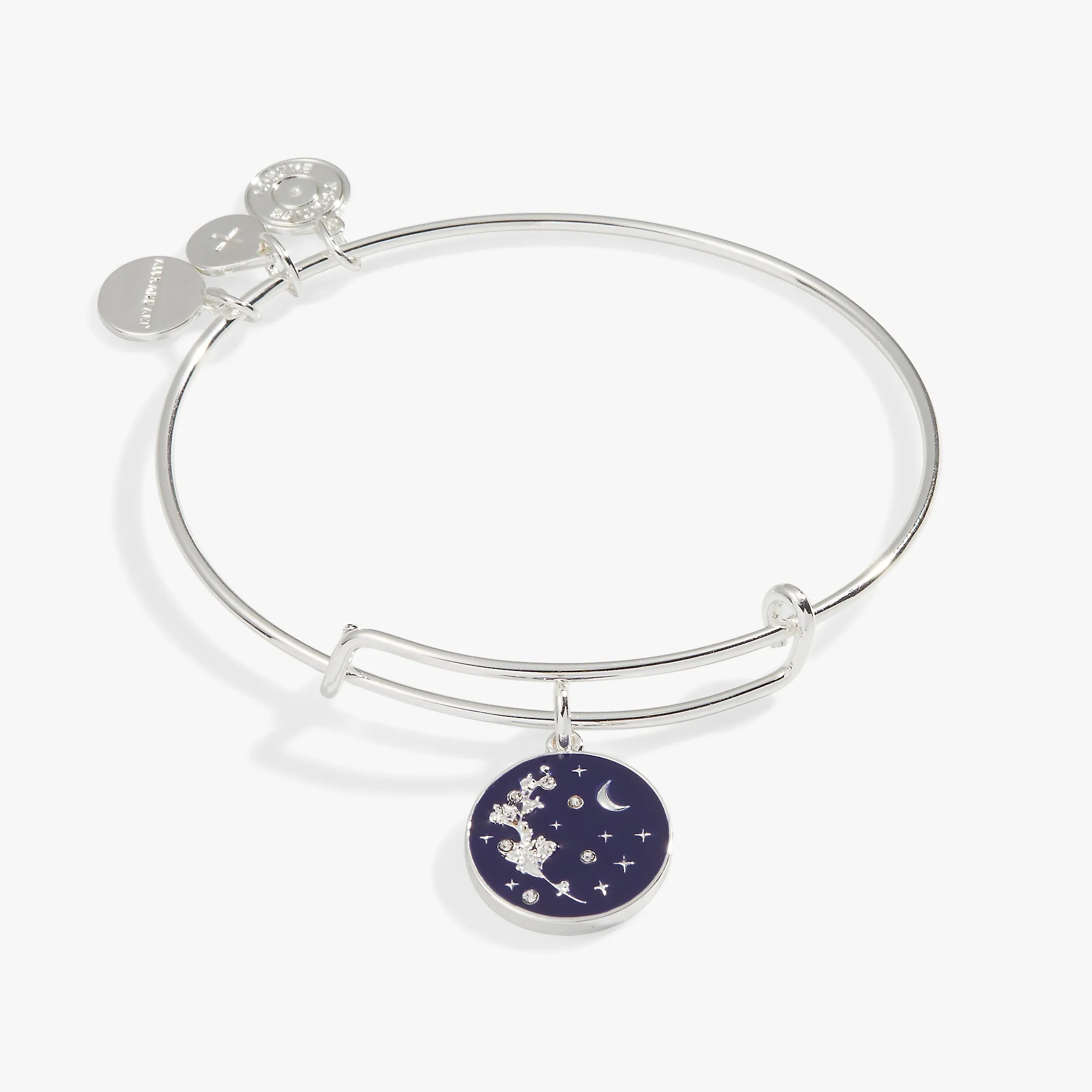 'Empower' Mimosa Flower Charm Bangle Bracelet sold by Alex and Ani