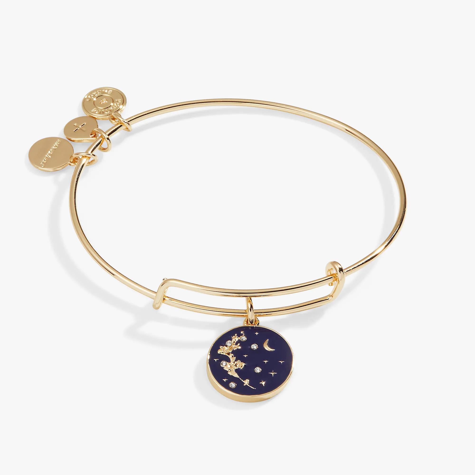 'Empower' Mimosa Flower Charm Bangle Bracelet sold by Alex and Ani product image thumbnail 3