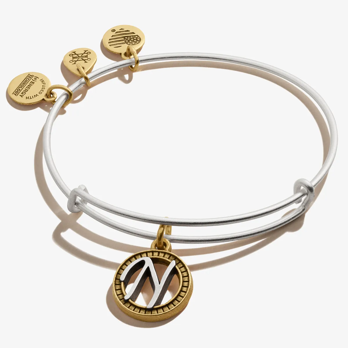 Initial N Charm Bangle, Two-Tone sold by Alex and Ani