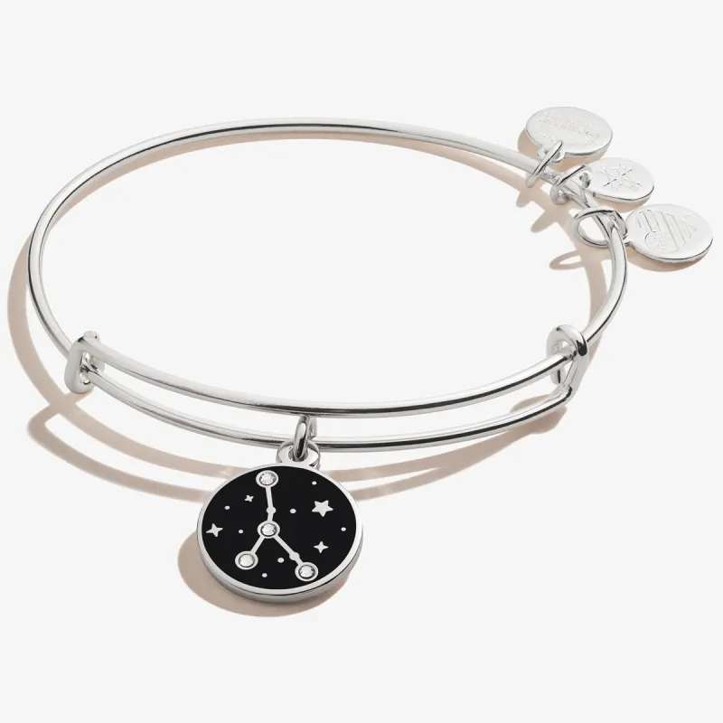 Cancer Zodiac Charm Bangle sold by Alex and Ani