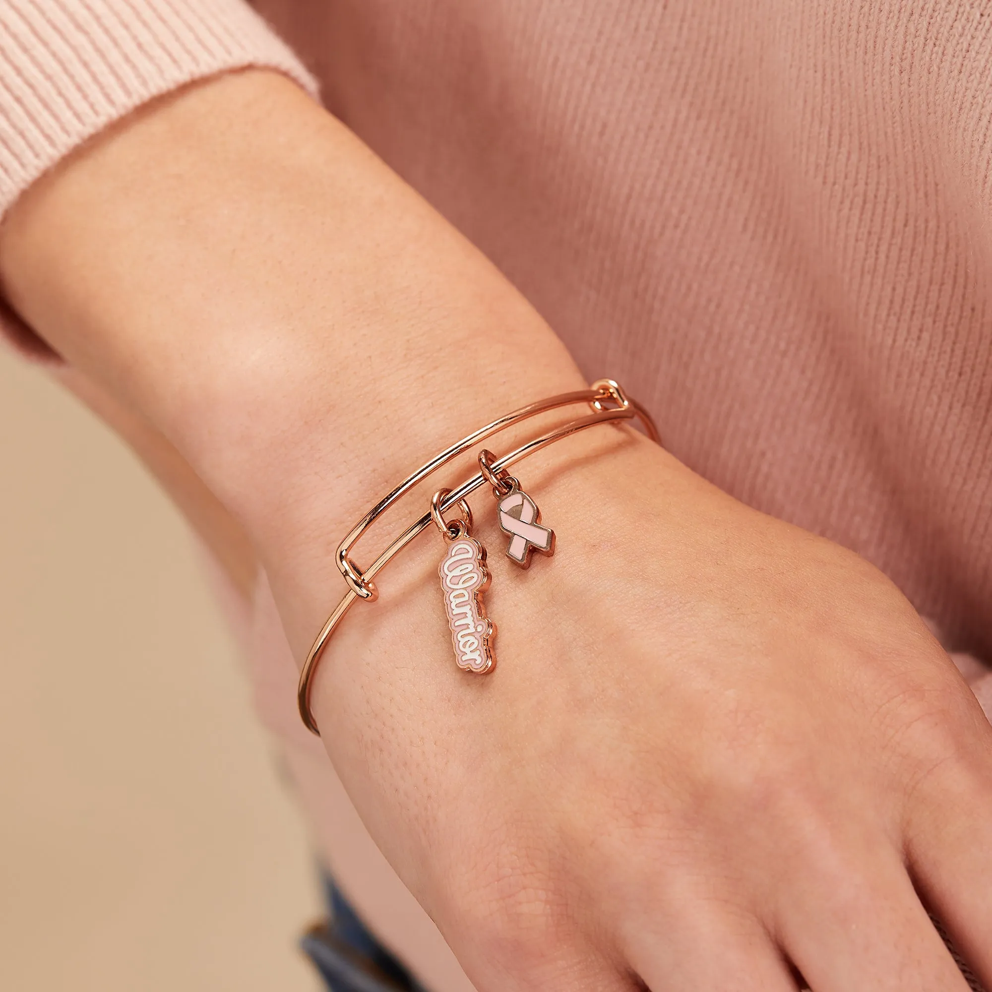 Warrior + Pink Ribbon Duo Charm Bangle sold by Alex and Ani product image thumbnail 4