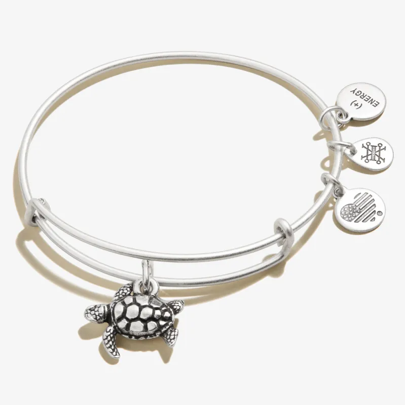 Turtle Charm Bangle sold by Alex and Ani