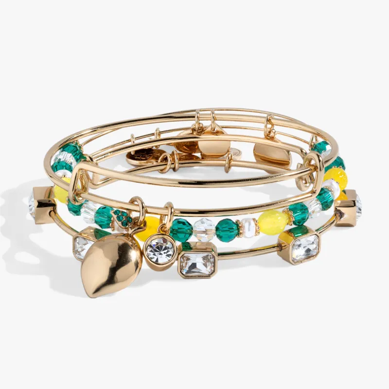 Lemon Charm Bangle Set of 3 sold by Alex and Ani