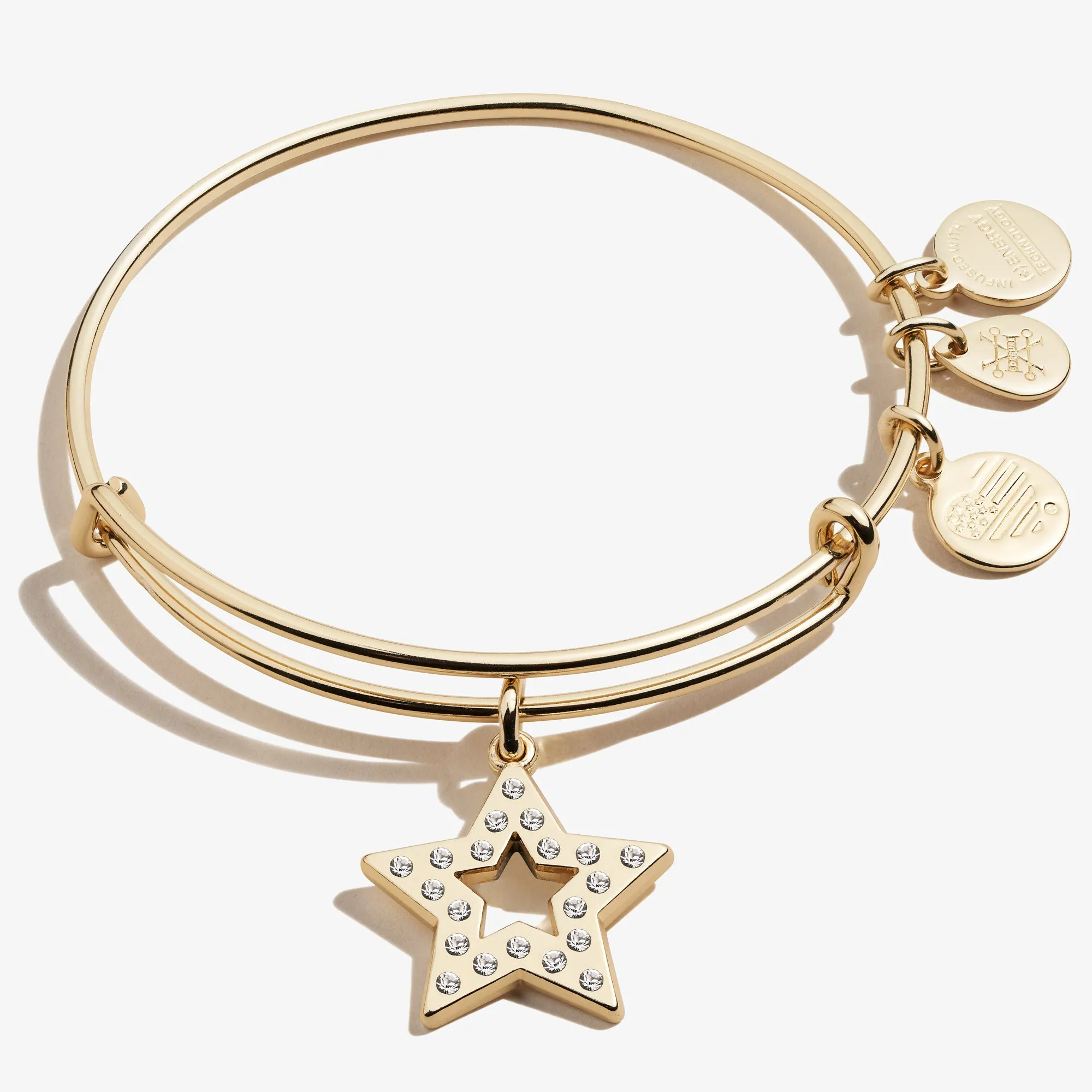 Pavé Star Charm Bangle sold by Alex and Ani