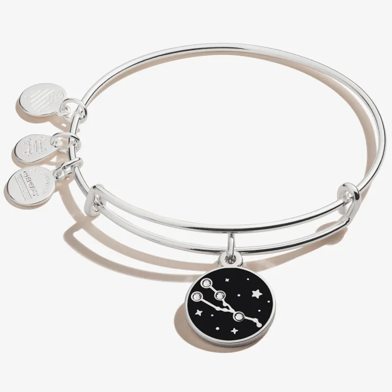 Taurus Zodiac Charm Bangle sold by Alex and Ani