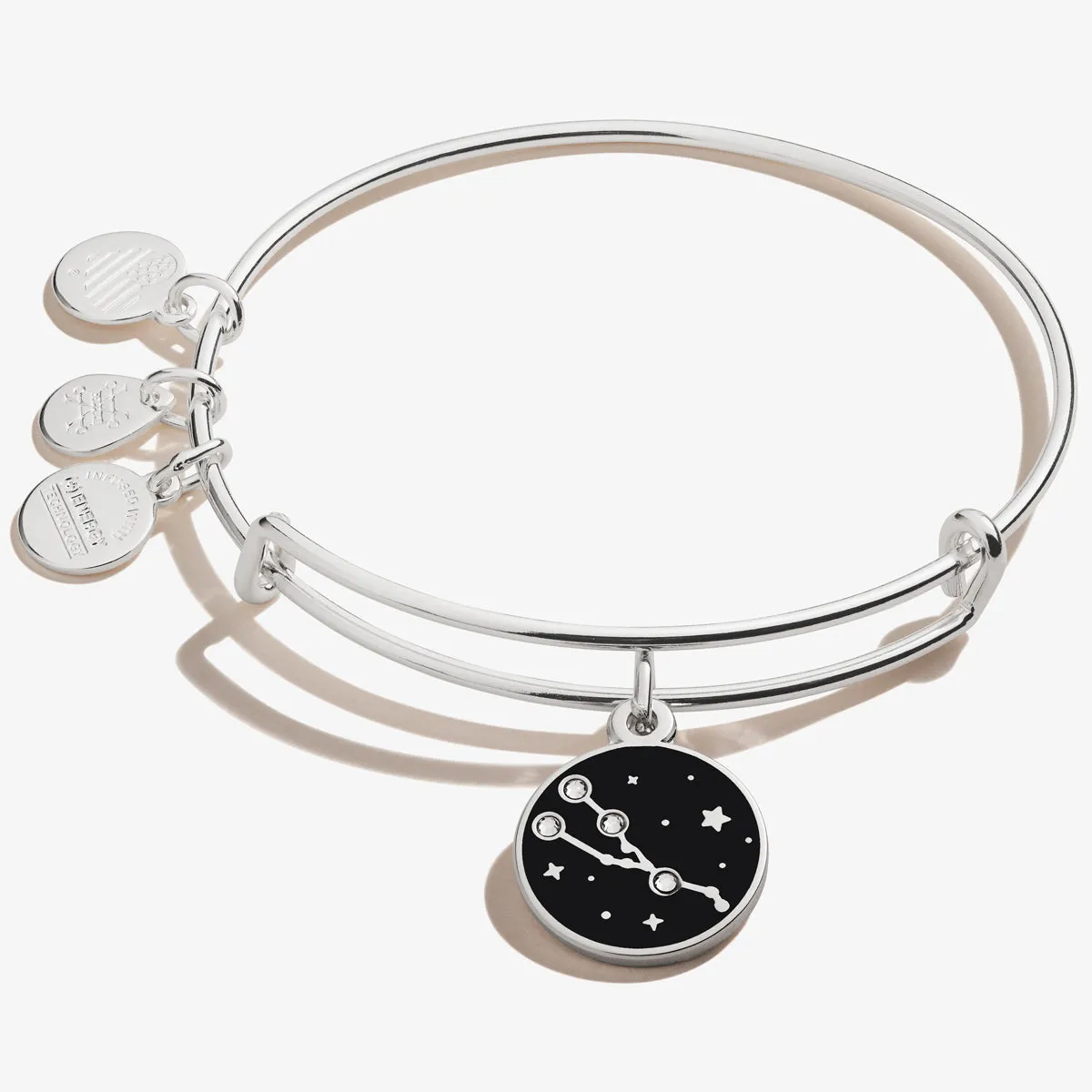 Taurus Zodiac Charm Bangle sold by Alex and Ani