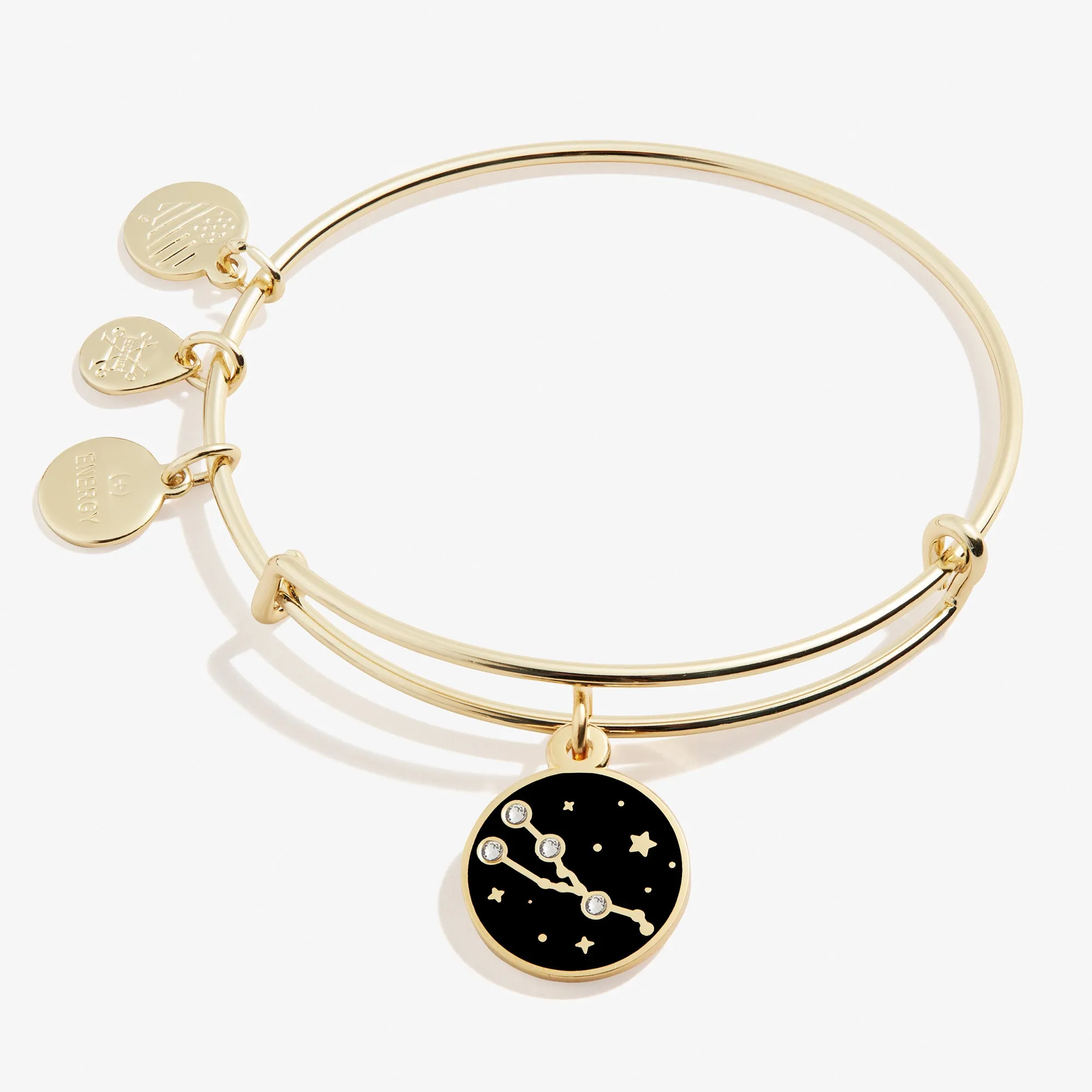 Taurus Zodiac Charm Bangle sold by Alex and Ani product image thumbnail 5