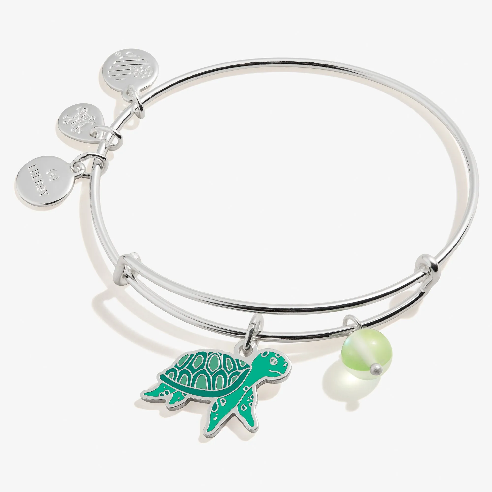 Turtle Duo Charm Bangle Bracelet sold by Alex and Ani