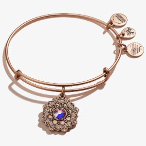 Mother of the Bride Crystal Charm Bangle sold by Alex and Ani