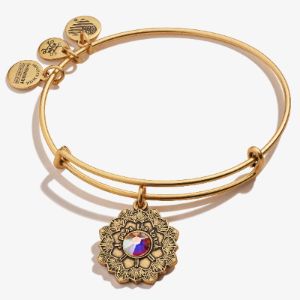 Mother of the Bride Crystal Charm Bangle sold by Alex and Ani
