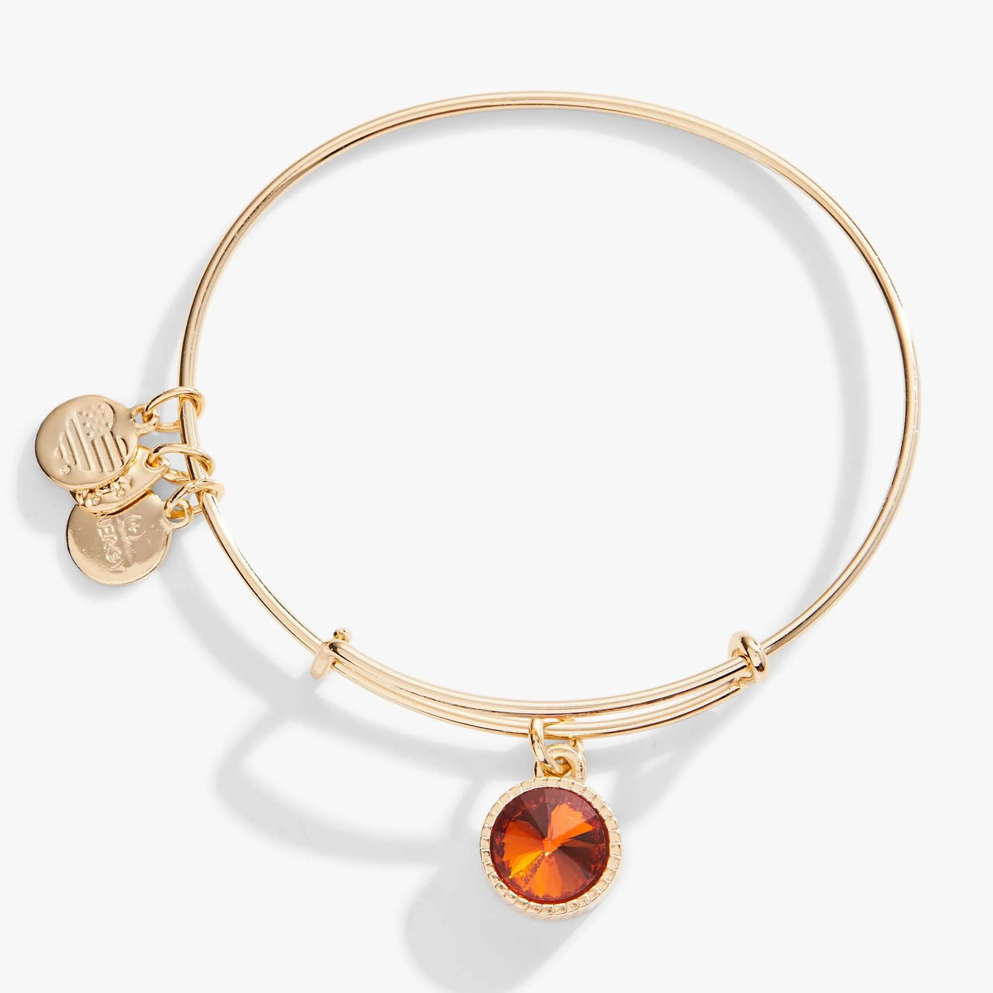 November Birthstone Charm Bangle, Topaz sold by Alex and Ani product image thumbnail 4