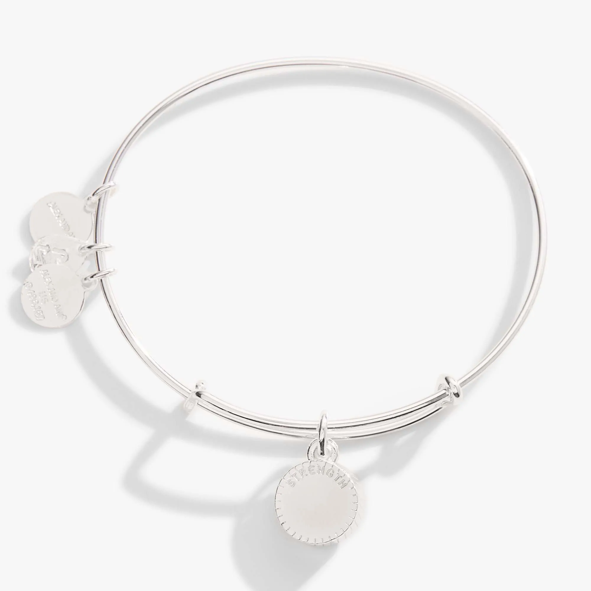 November Birthstone Charm Bangle, Topaz sold by Alex and Ani product image thumbnail 3