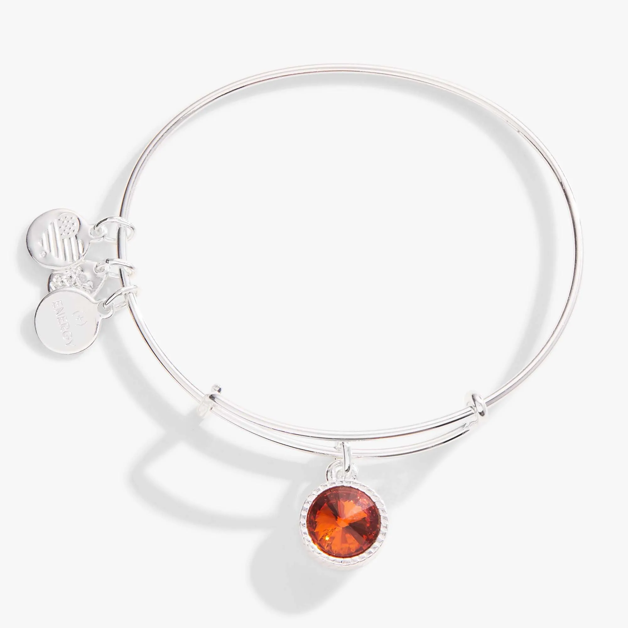 November Birthstone Charm Bangle, Topaz sold by Alex and Ani