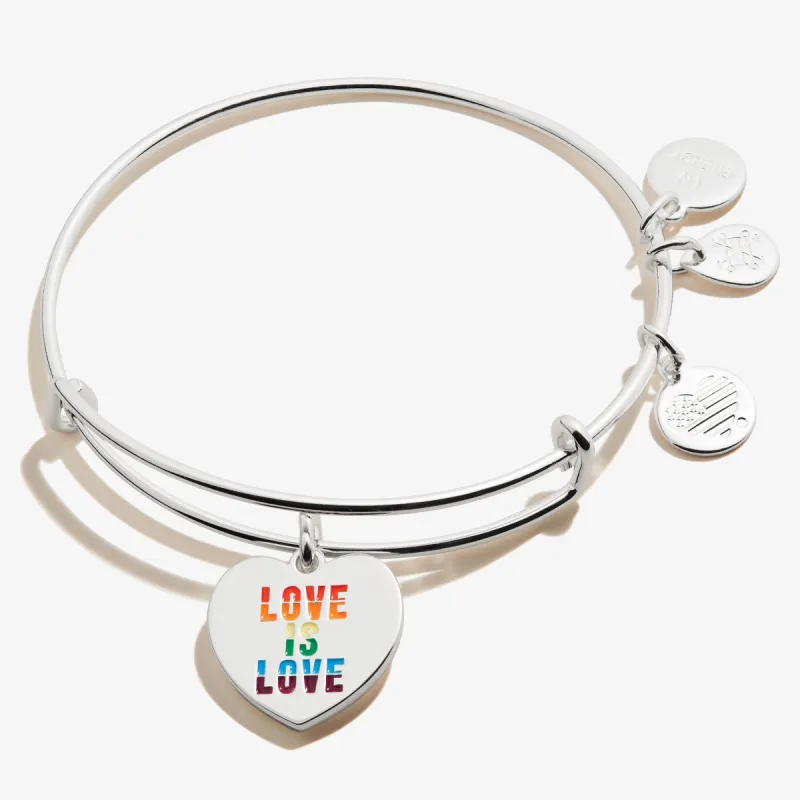 'Love is Love' Charm Bangle sold by Alex and Ani