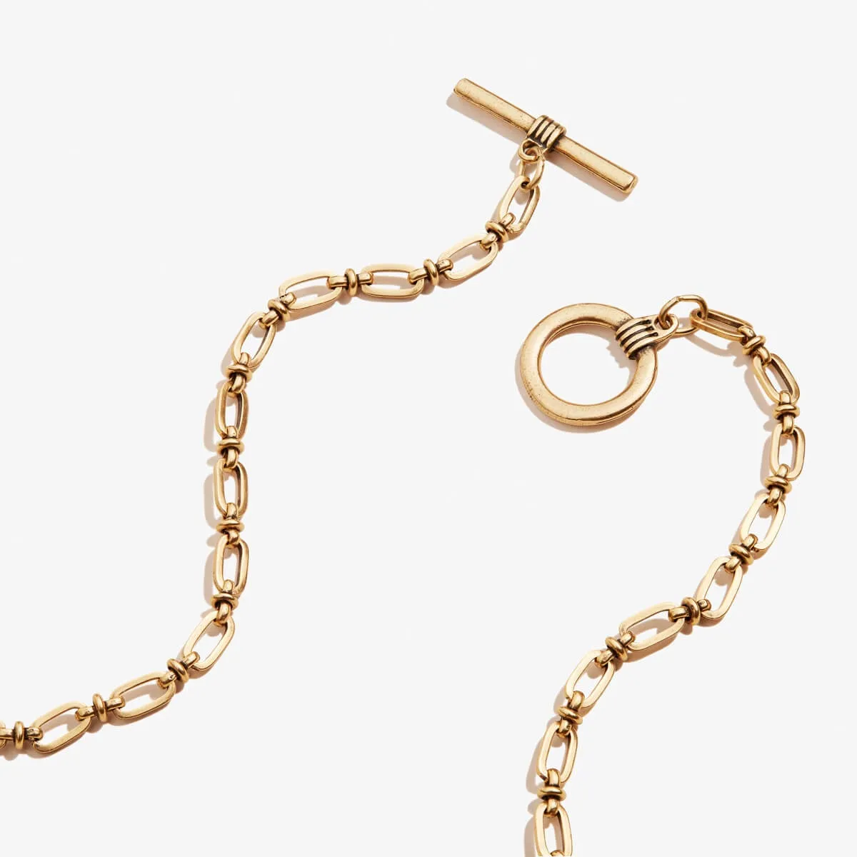 Treasure Multi-Charm Necklace sold by Alex and Ani product image thumbnail 2