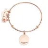 Arrows of Friendship Charm Bangle sold by Alex and Ani