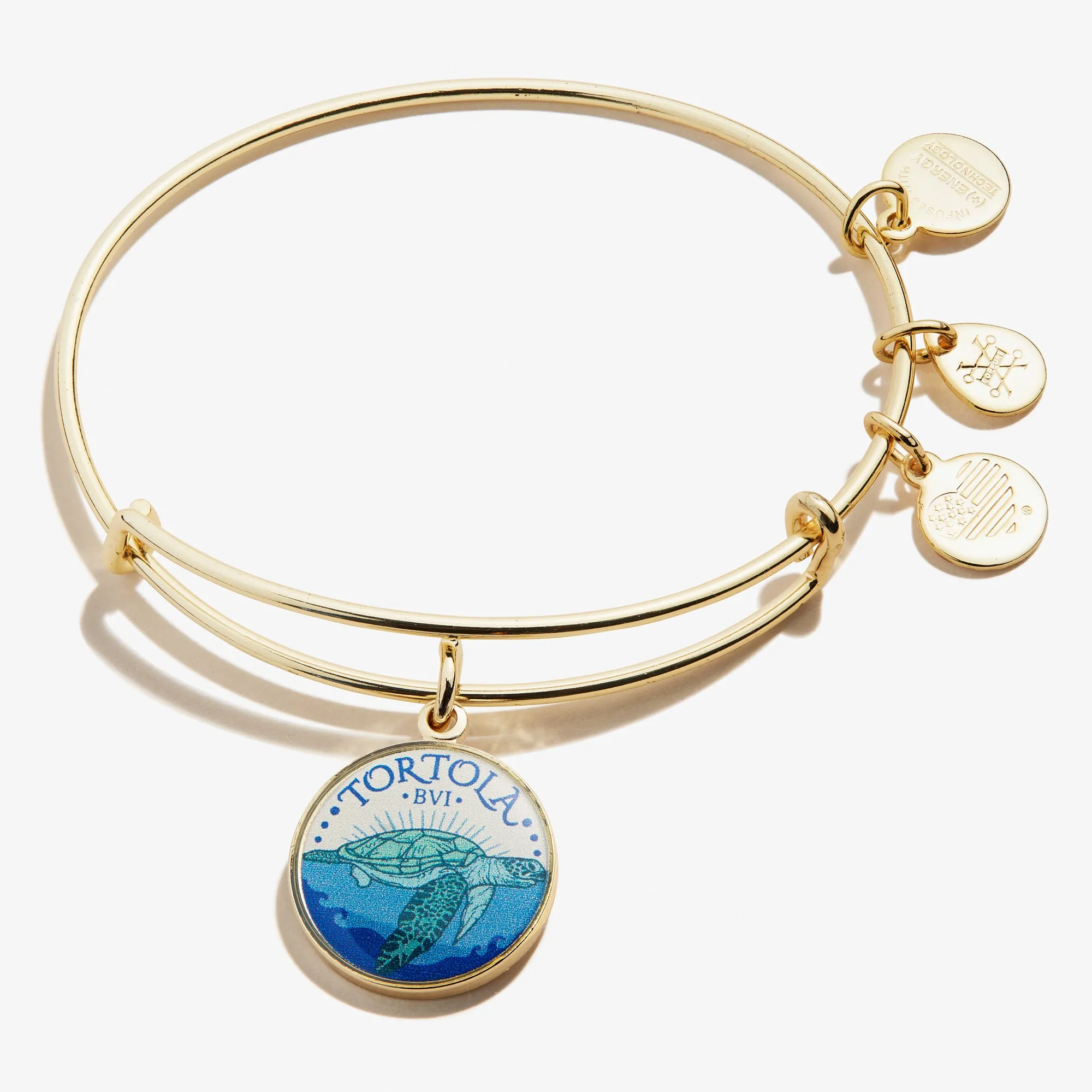 Tortola Charm Bangle sold by Alex and Ani product image thumbnail 2