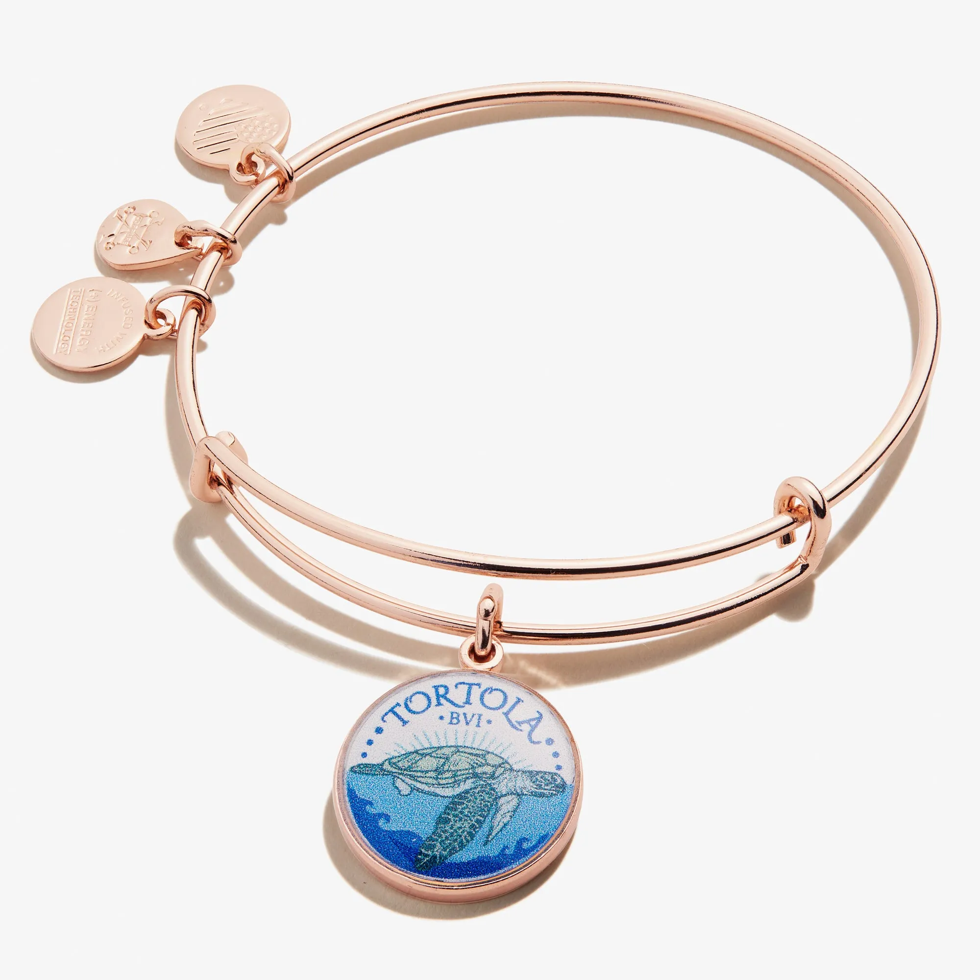 Tortola Charm Bangle sold by Alex and Ani product image thumbnail 3