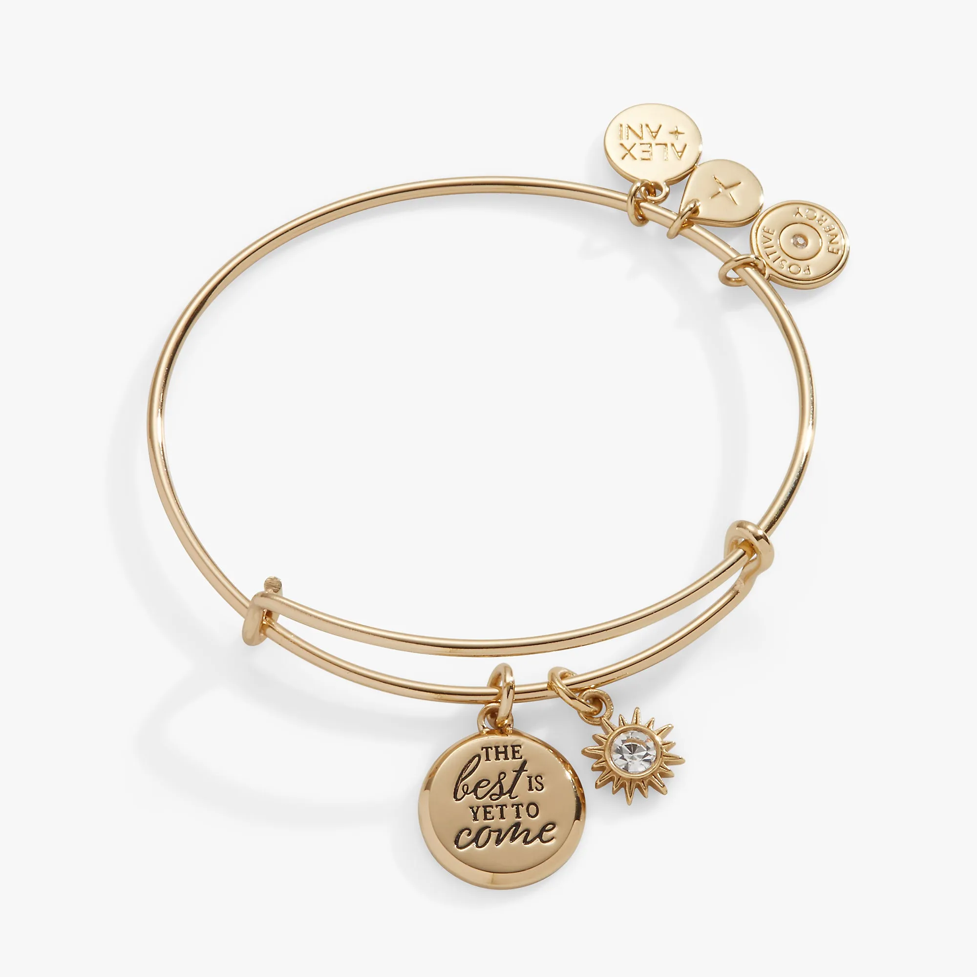 'The Best Is Yet To Come' Duo Charm Bangle sold by Alex and Ani product image thumbnail 2