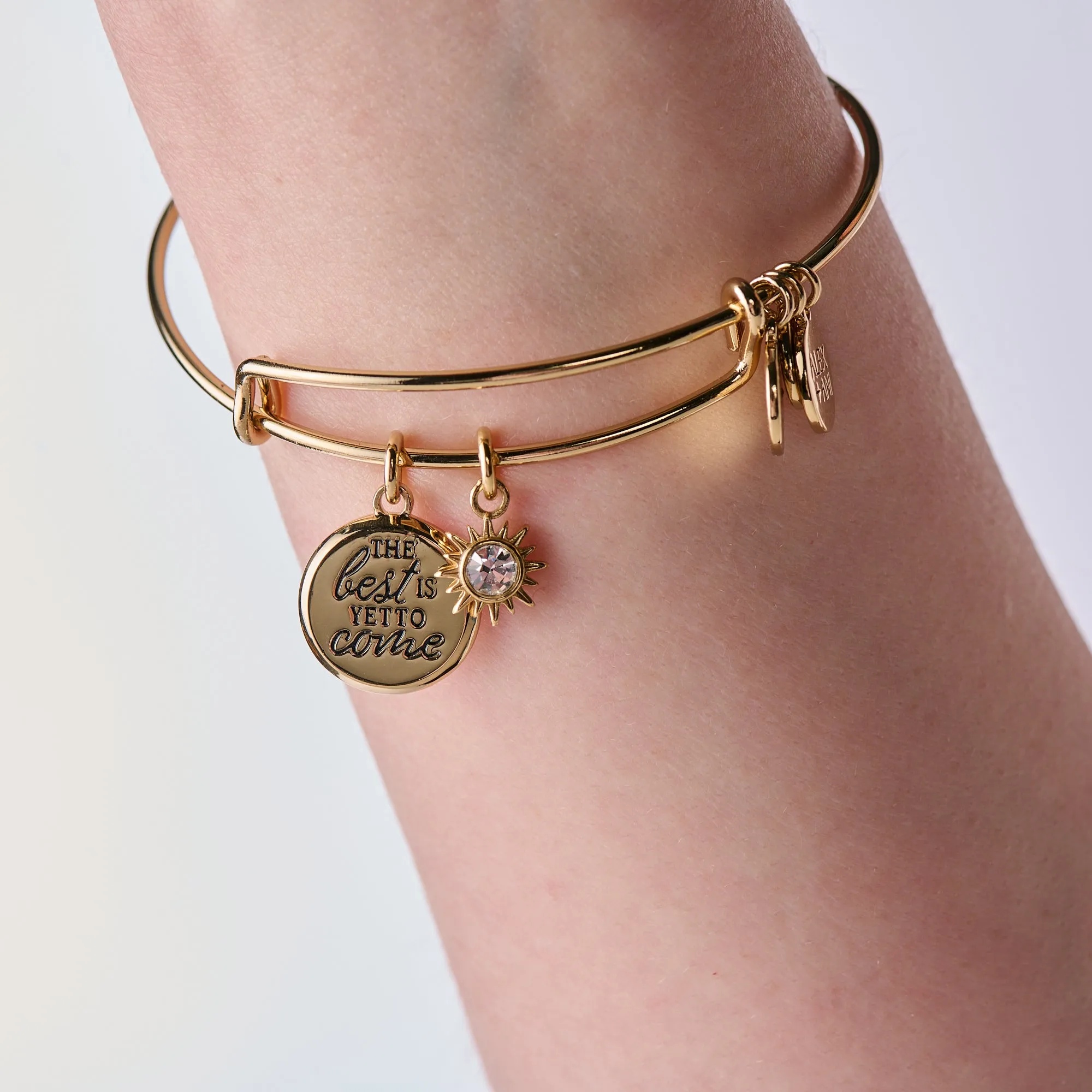 'The Best Is Yet To Come' Duo Charm Bangle sold by Alex and Ani product image thumbnail 4