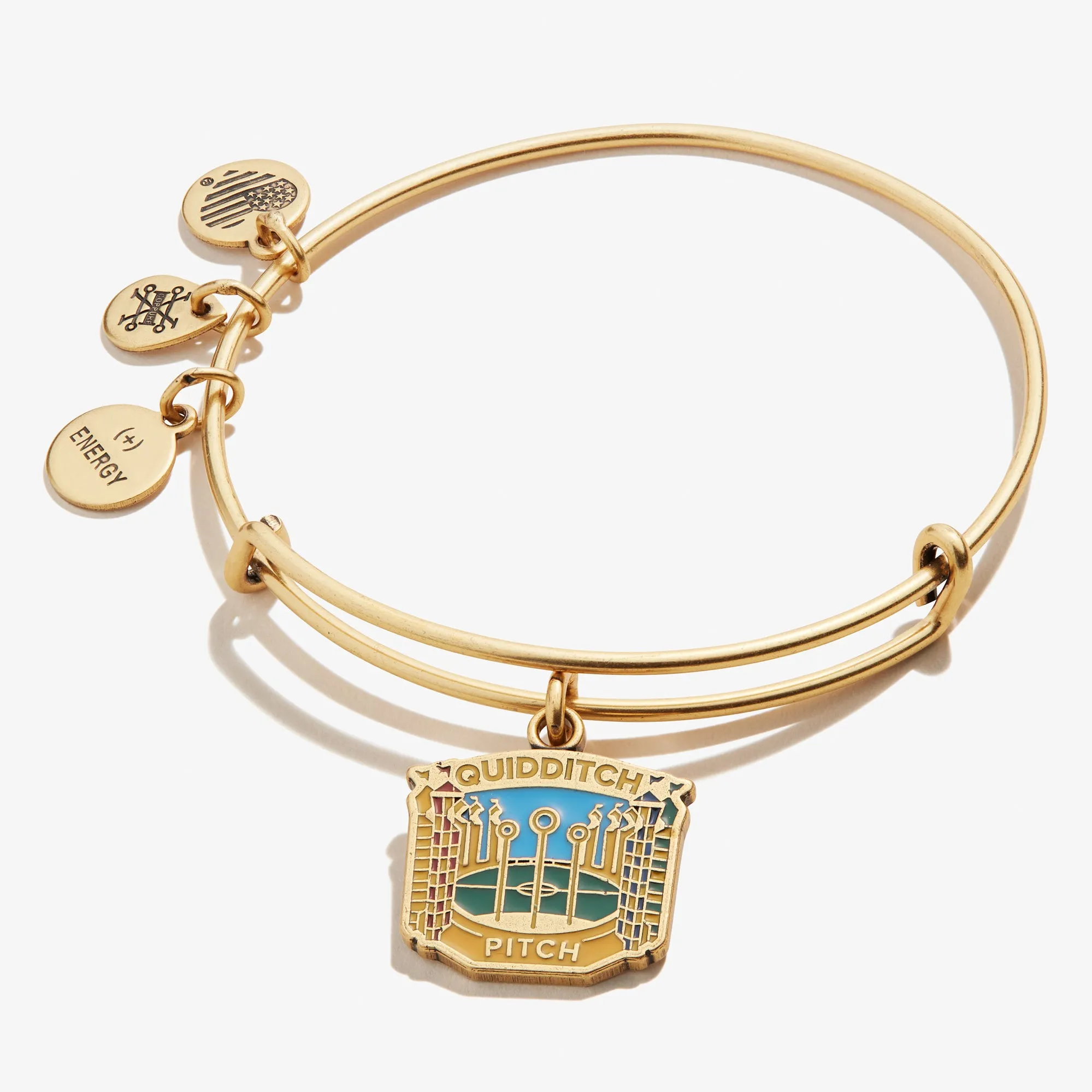 Harry Potter™ 'Quidditch Pitch' Charm Bangle sold by Alex and Ani
