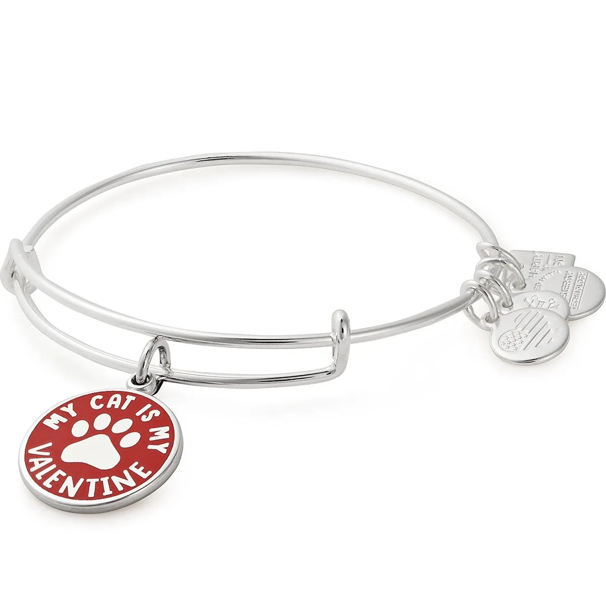 My Cat Is My Valentine Charm Bangle sold by Alex and Ani