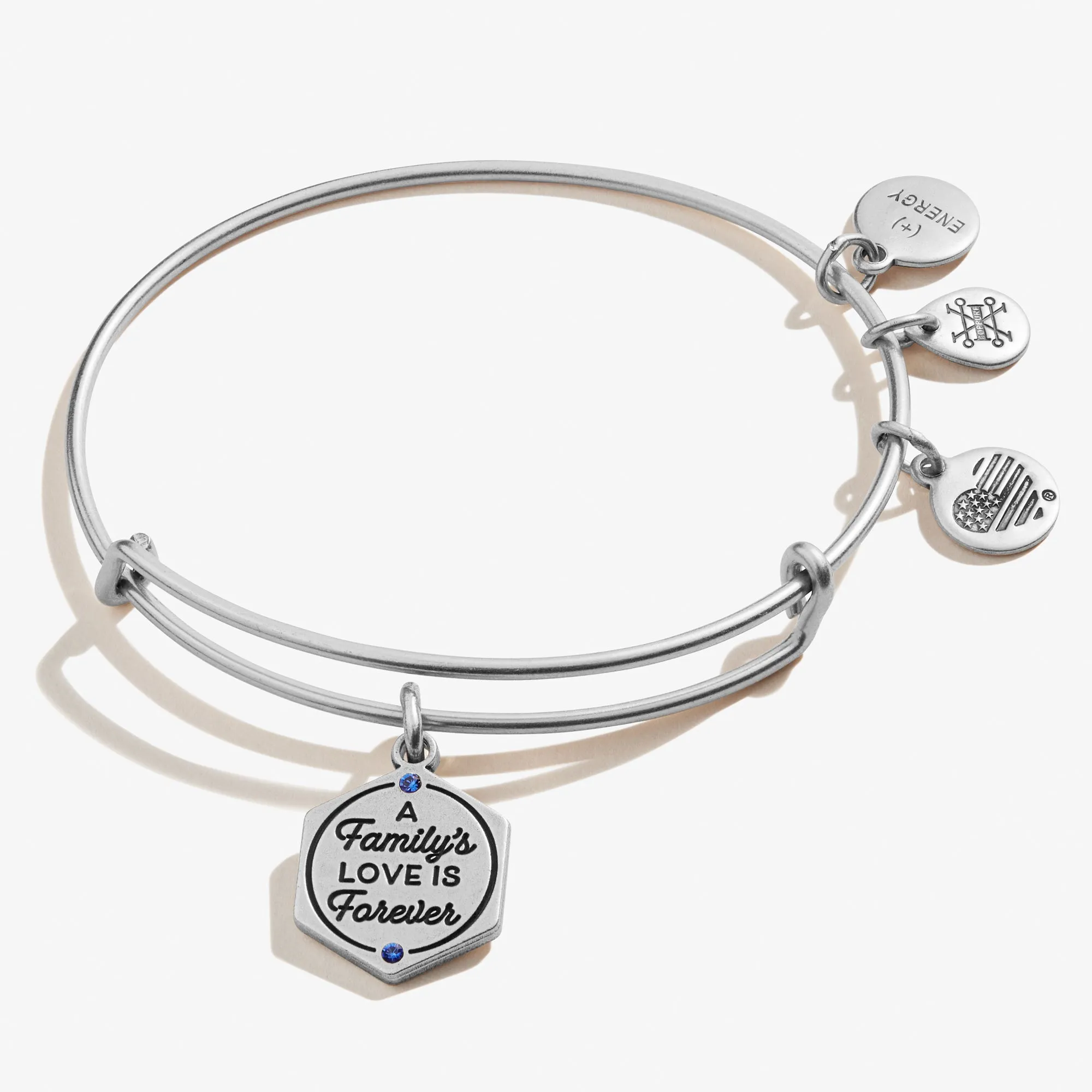 'A Family's Love is Forever' Charm Bangle sold by Alex and Ani