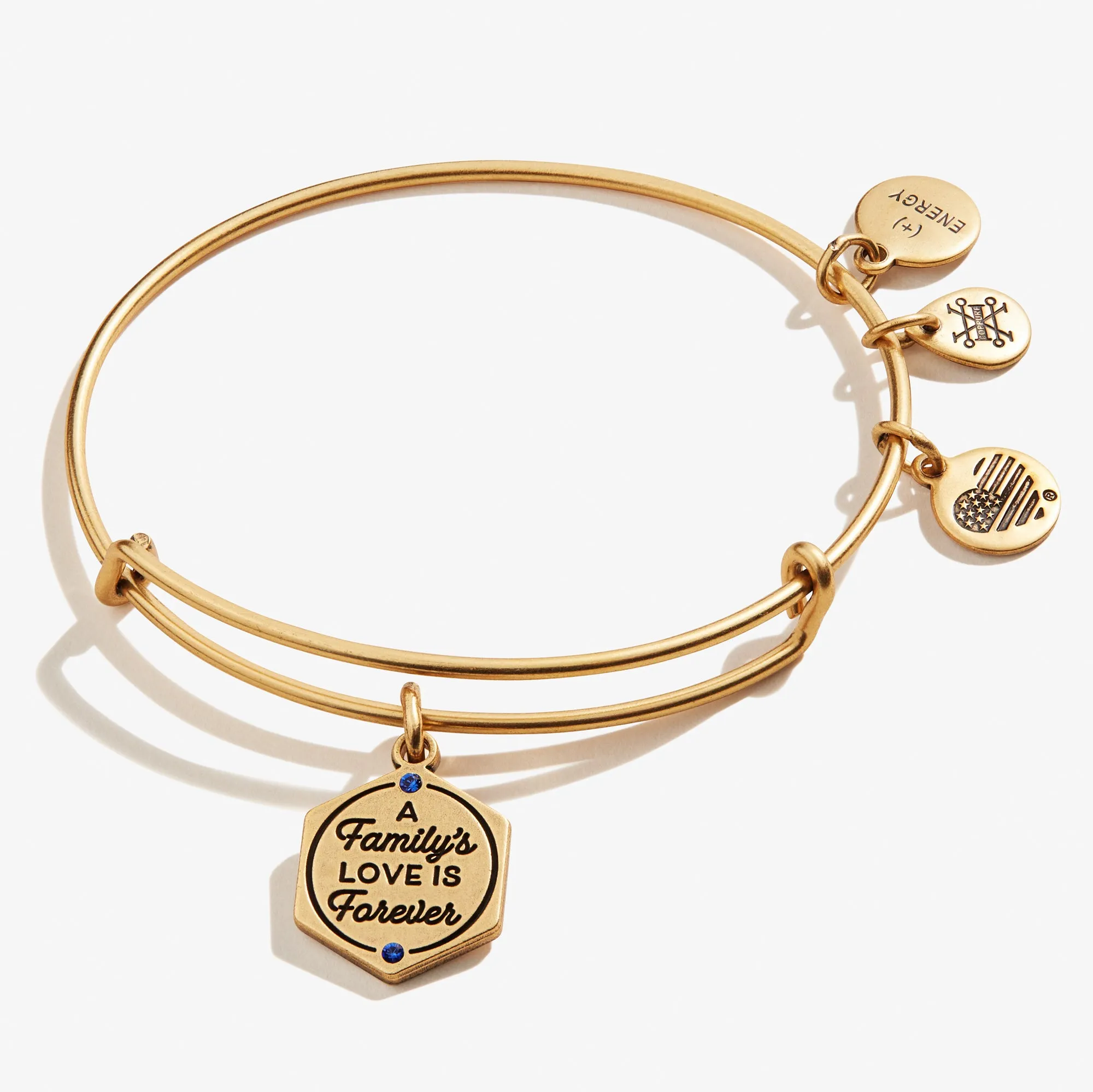 'A Family's Love is Forever' Charm Bangle sold by Alex and Ani product image thumbnail 3