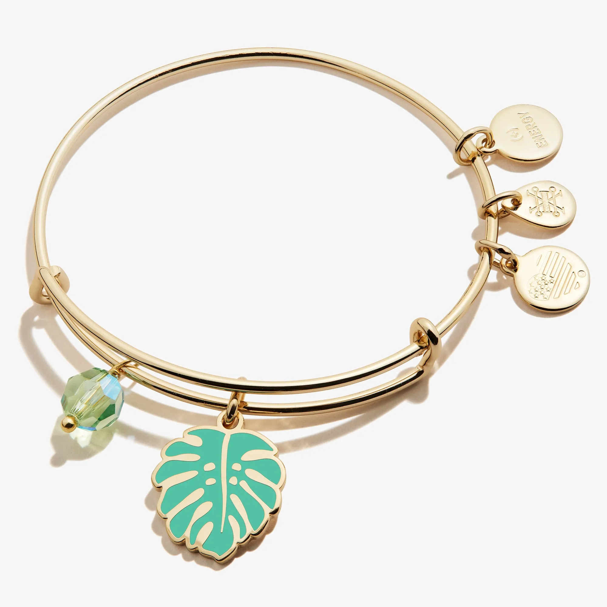 Tropical Leaf Duo Charm Bangle sold by Alex and Ani