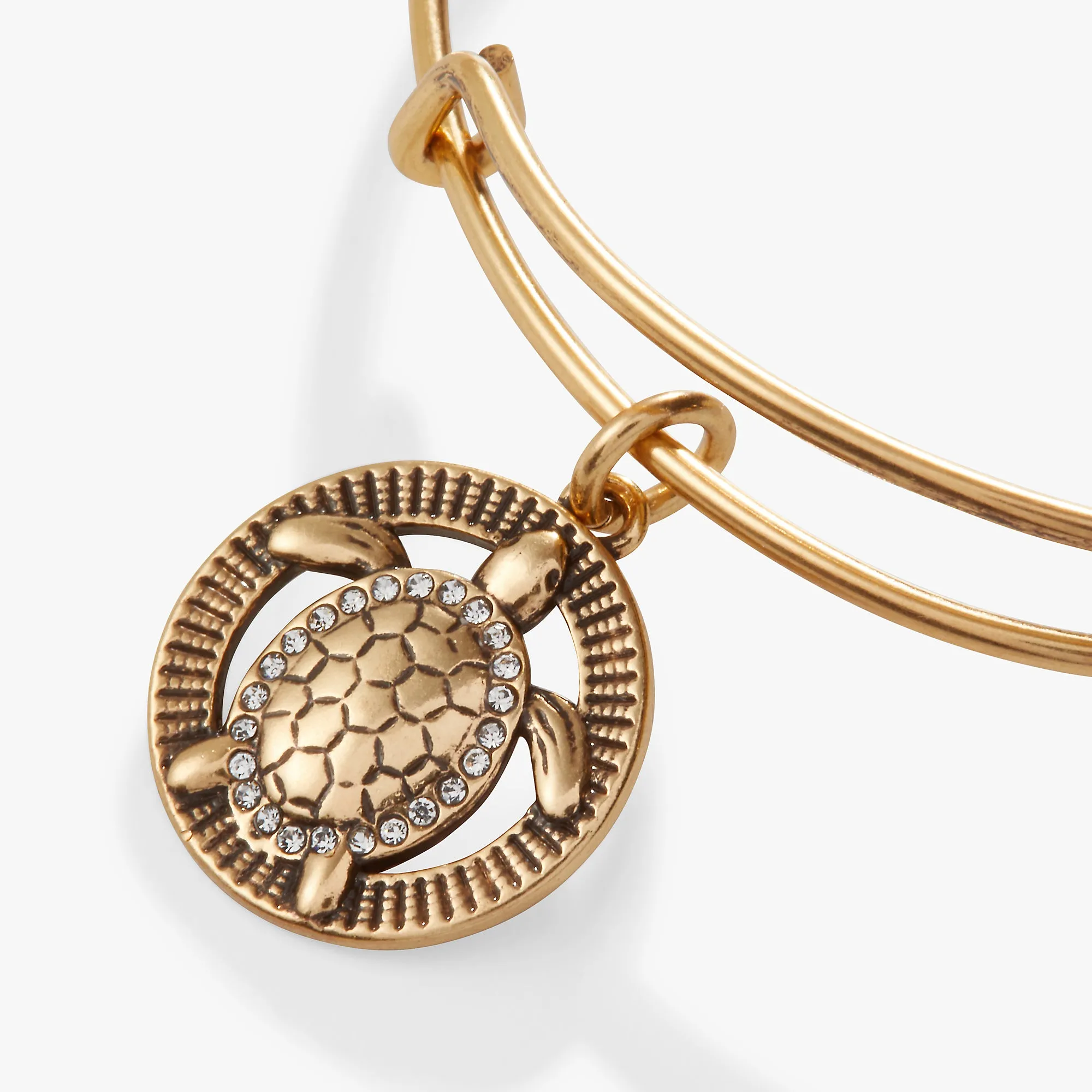 Turtle Charm Bangle sold by Alex and Ani product image thumbnail 2