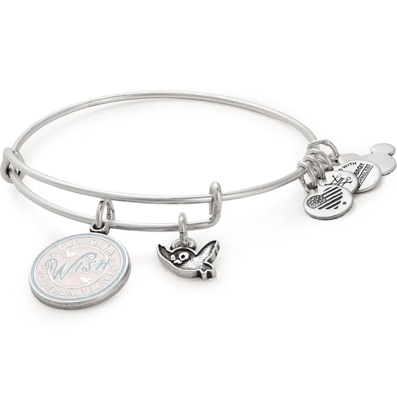 Disney® Cinderella 'A Dream is a Wish Your Heart Makes' Charm Bangle sold by Alex and Ani