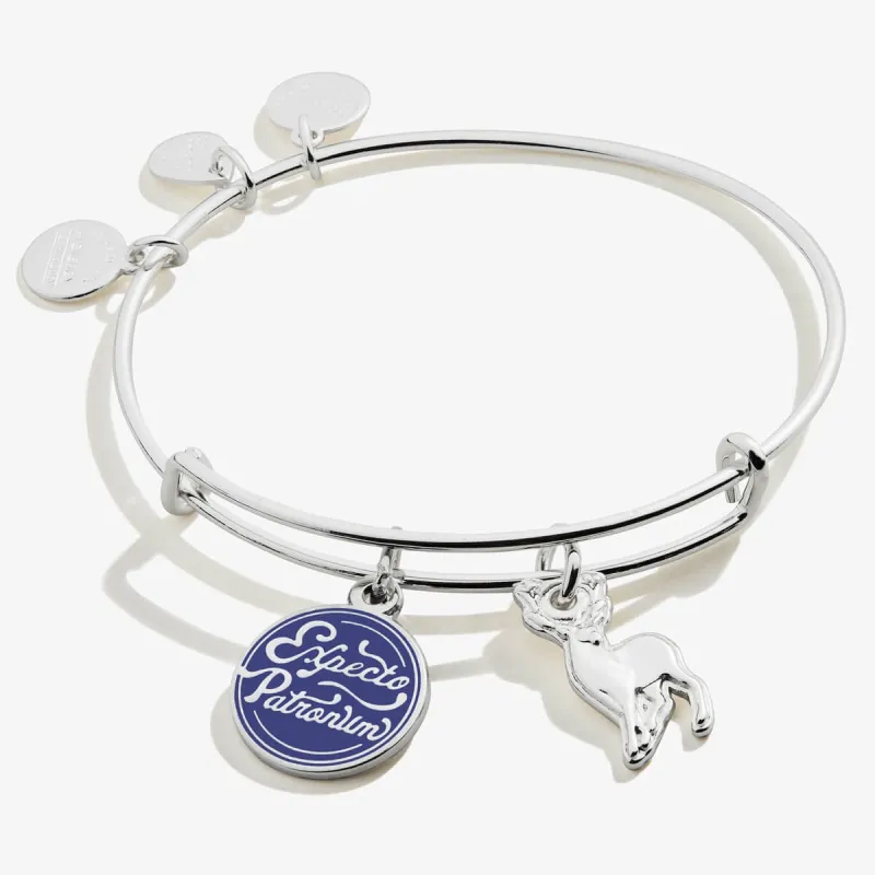 Harry Potter™ Expecto Patronum Duo Charm Bangle sold by Alex and Ani