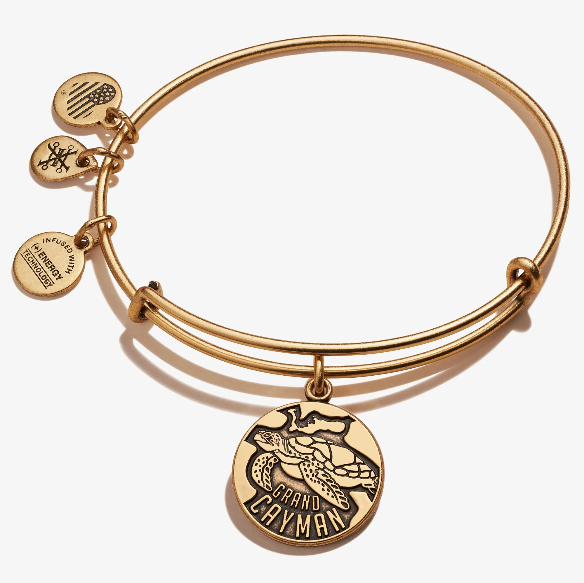 Grand Cayman Charm Bangle sold by Alex and Ani