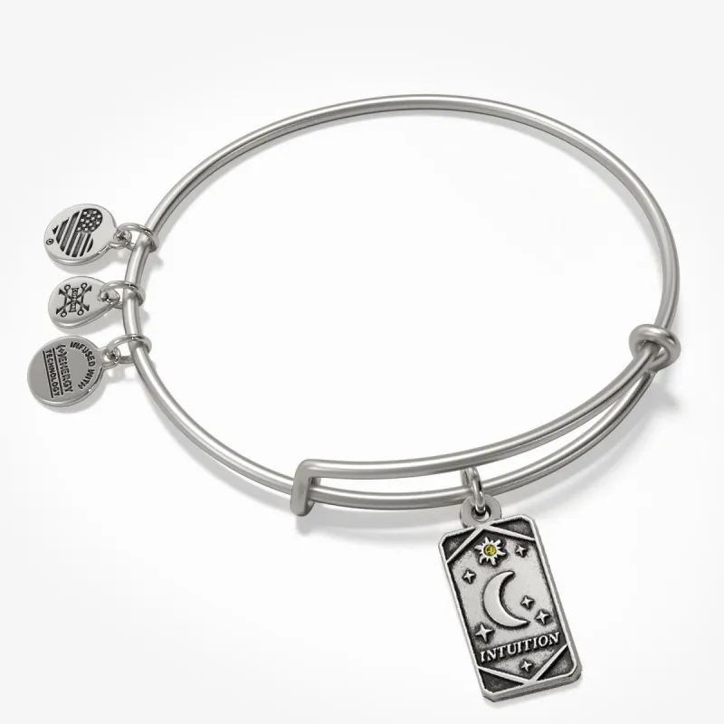 Celestial Moon 'Be The Guiding Force In Your Own Life' Charm Bangle made by Alex and Ani